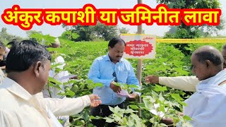 अंकुर ची साकेड लावा या जमिनीत // शेतकऱ्यांना समजून सांगितले // तुम्ही कोणत्या जमिनीत लागवड करता ?