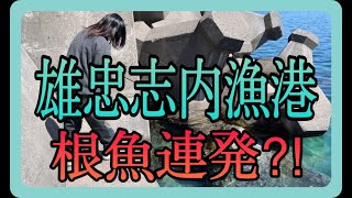 穴釣りで大物に遊ばれる！【利尻遠征②】