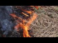 Forest Restoration with Prescribed Fire | Deschutes National Forest