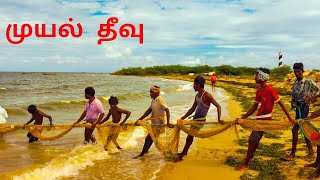 10 டன் மீன்கள் | கரைவலை பற்றிய தகவல் | கரைவலை மீன் பிடிக்கும் முறை | தூத்துக்குடி