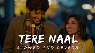 Tere Naal - Slowed and Reverb / Darshan Rawal // Tulsi Kumar / Tseries