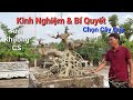 Anh KHƯƠNG CS KINH NGHIỆM & BÍ QUYẾT chọn CÂY QUÝ để có vườn cây TOÀN ĐỒ QUÝ ngày hôm nay .