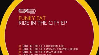 Funky Fat  - So Hot