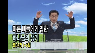 마른 뼈들에게 임한 하나님의 생기 (행복한교회 조영구목사님 2019.06.16.주일설교) 겔 37장 1~6절