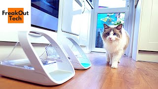 5 Cool Gadgets Every Cat Lover Must Have