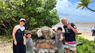 石垣島離島巡り旅3日目 西表島と由布島巡り旅✨仲間川のマングローブの木をボートでゆっくりと見て、生命力の素晴らしさを感じました🌴水牛車の牛さんはとても可愛らしくて力持ちでした✨