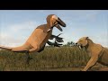 sabertooth vs raptor who would win