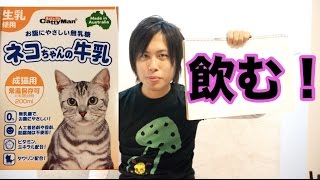 【衝撃】人間が猫用のミルクをガチで飲んでレビューする！！