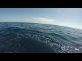 160lb yellowfin tuna with rob allen 110 roller