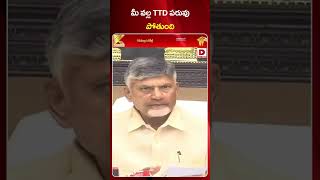 మీ వల్ల TTD పరువు పోతుంది CM Chandrababu || Tirumala Incident || Dial News