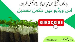 ###Complete method of watering bags