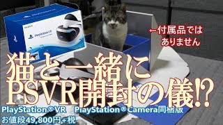 猫と一緒にPSVR開封の儀！その1☆かまってちゃん猫が居ると何かと大変で笑える☆アウトローリキちゃん☆PlayStation VR【リキちゃんねる　猫動画】Cat videos キジトラ猫との暮らし