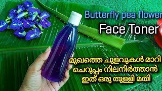 മുഖത്തെ ചുളിവുകൾ മാറി ചെറുപ്പം നിലനിർത്താൻ | Butterfly pea flower face toner | Beauty tips Malayalam