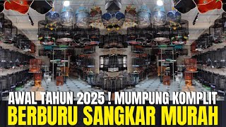 BERBURU SANGKAR MURAH AWAL TAHUN 2025 DI PASAR BURUNG PRAMUKA KIOS FORTUNA