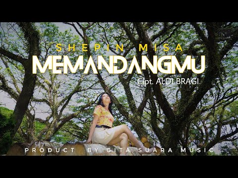 Download Lagu Shepin Misa Memandangmu Mp3
