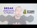 Breaking out of a loop in Python