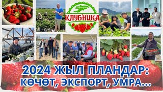 2024 ПЛАНДАР: Көчөт, Экспорт, Умра…