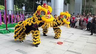 Lion \u0026 Snake dance @ MapleTree Business City 2025