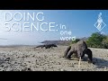 What’s your favorite thing about science-ing? | SciAll.org