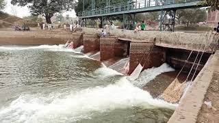 BRB Canal Lahore Fish Catching Nets