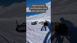 Rumathra freut sich über klicks als hugo fast verreckt ist