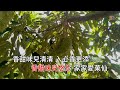 榴槤飄香 陳慧玲 粵語 高清 演唱版本