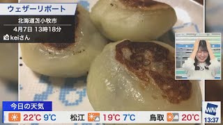 【駒木結衣】ランチリポート【ウェザーニュース】