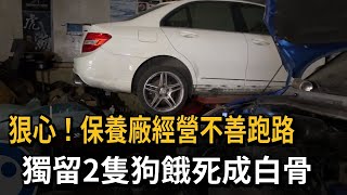 狠心！ 保養廠經營不善跑路 獨留2隻狗餓死成白骨－民視新聞