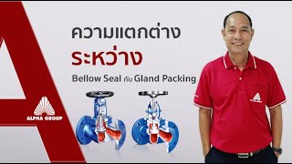 EP.4 ความแตกต่างทางกายภาพระหว่าง Bellow Seal Vs Gland Packing