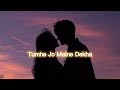 tumhe jo maine dekha slowed reverb abhijeet shreya ghosal rejoice