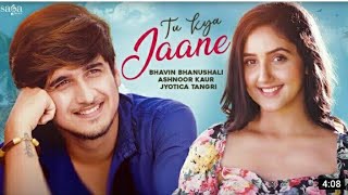 Tu Kya Jaane |Bhavin Bhanushali |Ashoor Kaur |JyoticaTangri|New Album song 2021|Saga Music #tsmusic