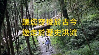 讓您穿梭於古今、遊走於歷史洪流 - 馬告生態園區棲蘭神木園 - 阿舍的精彩生活