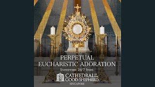 Perpetual (24/7) Eucharistic Adoration Prayer Mission