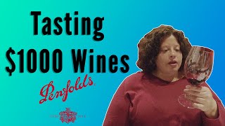 Penfold's Ultimate Experience Review - Wine Tasting in Adelaide, South Australia