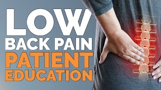 Chiropractic Patient Education: Low Back Pain | 9+ Hours of Reception Area Streaming