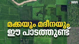 'മക്കയും മദീന'യും സുൽത്താൻ  ബത്തേരിയിലെ  പാടത്തുണ്ട് ! |Sultan Bathery  | Wayanad | Mecca | Medina