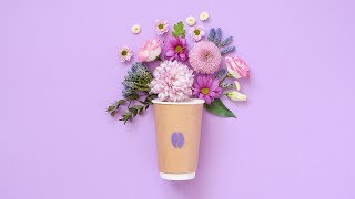Spring Coffee | Stop motion animation