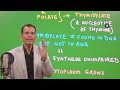 pernicious anemia and megaloblastic anemia ~ what s the difference mbbs dr vivek nalgirkar