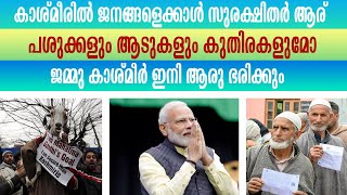 കാശ്മീരിൽ നടക്കുന്നത് എന്ത്..മനുഷ്യർക്ക്  അവിടെ എന്ത്  സുരക്ഷിത ? JAMMU KASHMIR ISSUE