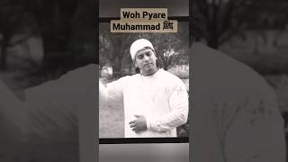 Woh Pyare Muhammad ﷺ - Qari Irfan Khan Qasmi. #shorts #naat