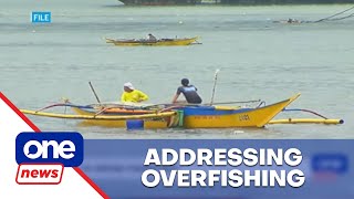 PBBM eyes imposing fishing ban