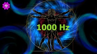 1000 Hz | WHOLE BRAIN CELL REGENERATION | Whole Body Regeneration Meditation Music | Binaural Beats