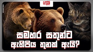 සමහර සතුන්ට ඇහිපිය තුනක් ඇයි?