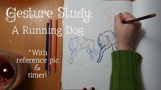 🐕Timed gesture practice: Running Dog, 1, 3, & 5-min studies