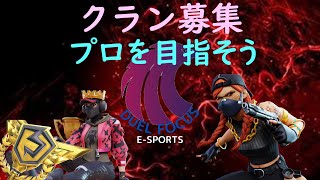 Fortnite  DF e-sports クラン募集　DF_ITIGO