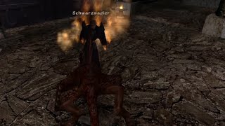 Gothic 2 (NOTR) Glitchless Speedrun in 1:14:35