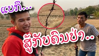 แบร์กิลลาว - ແບກຶ EP.12