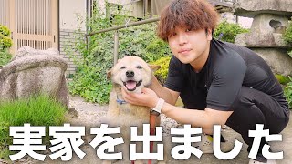 大切な家族が帰ってこない時の愛犬コロちゃんの反応がこちらです