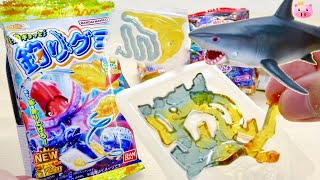 新ステージ追加! 魚ギョッと釣りグミ ソーダ\u0026オレンジ味, 最強王図鑑ドラゴンのラムネって何!?