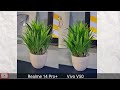 vivo v50 vs realme 14 pro plus comparison camera test battery test bgmi test display test